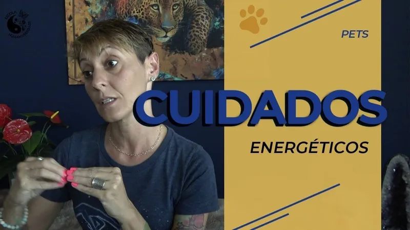 Pets/Anjos (cuidados energéticos)