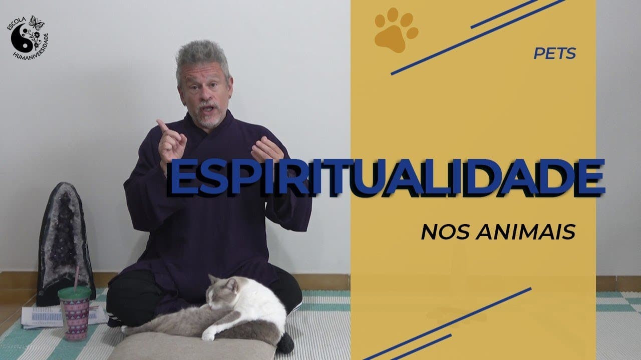 A espiritualidade dos animais (Reiki)