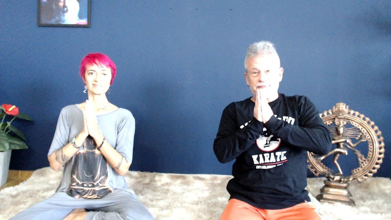 MEDITACAO do YOGA e ZEN. Erros e acertos.