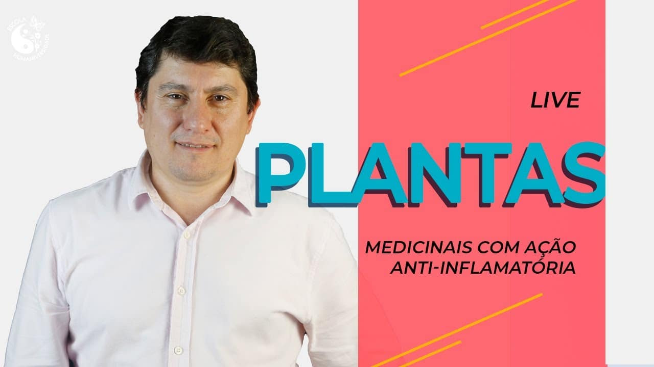 Plantas medicinais com ação anti-inflamatória