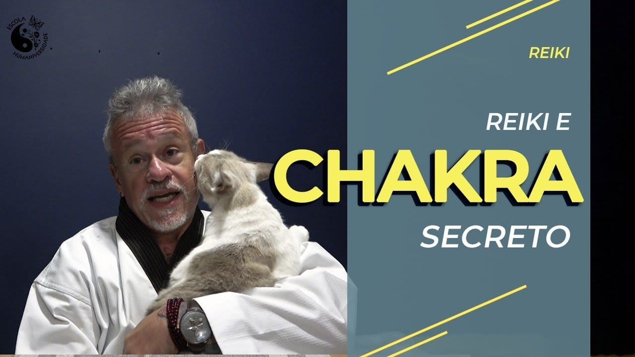 Reiki e Chakra secreto