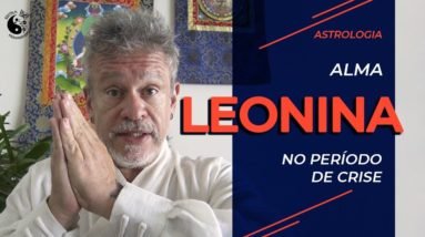 Alma leonina no período de crise