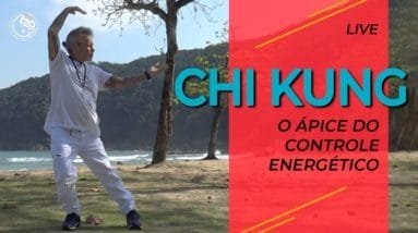 CHI KUNG | O ápice do controle energético (5 práticas de vitalidade, carisma, limpeza, paz)