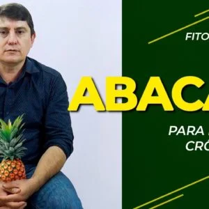Fitoterapia | Abacaxi para Dores Crônicas