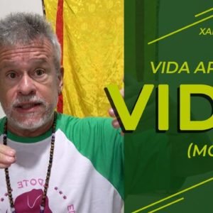 Vida após a vida (morte)