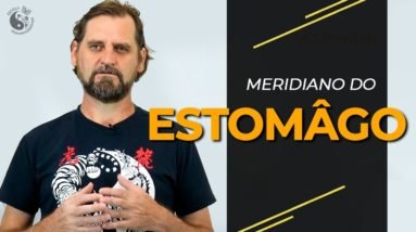 ACUPUNTURA | Meridiano do Estômago