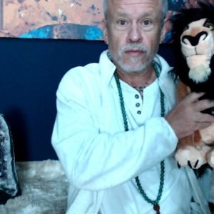 Animal Sombra, Animal dd Poder, sonhos e forca Animal e ID