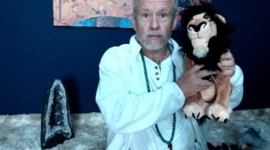 Animal Sombra, Animal dd Poder, sonhos e forca Animal e ID