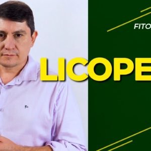 FITOTERAPIA | Licopeno