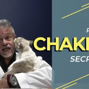 Reiki e Chakra secreto