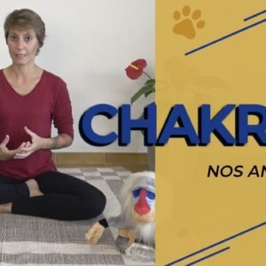Chakras nos animais