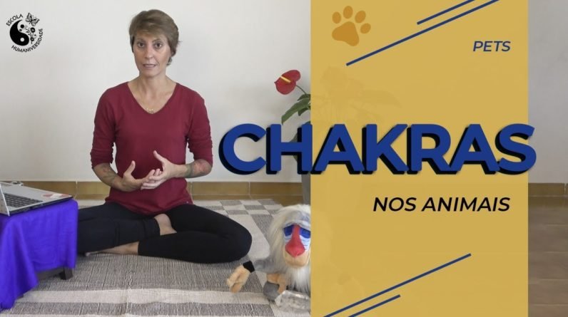 Chakras nos animais