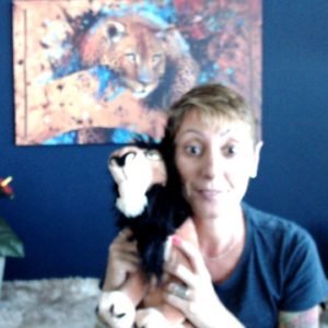 como funciona os chakras do seu pet