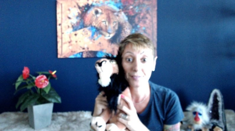 como funciona os chakras do seu pet