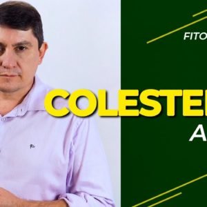 FITOTERAPIA | Colesterol Alto