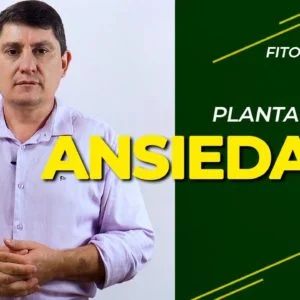 FITOTERAPIA | Planta para Ansiedade (Alpinia Zerumbet)