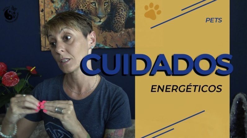 Pets/Anjos (cuidados energéticos)