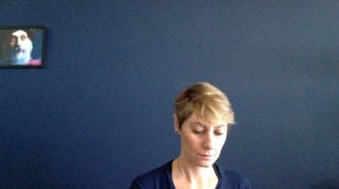 Cristais para o seu Pet