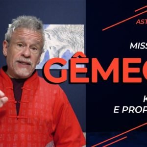 Missão de Gêmeos (Karma e propósito)